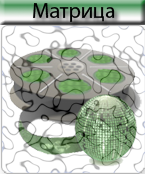 matrix